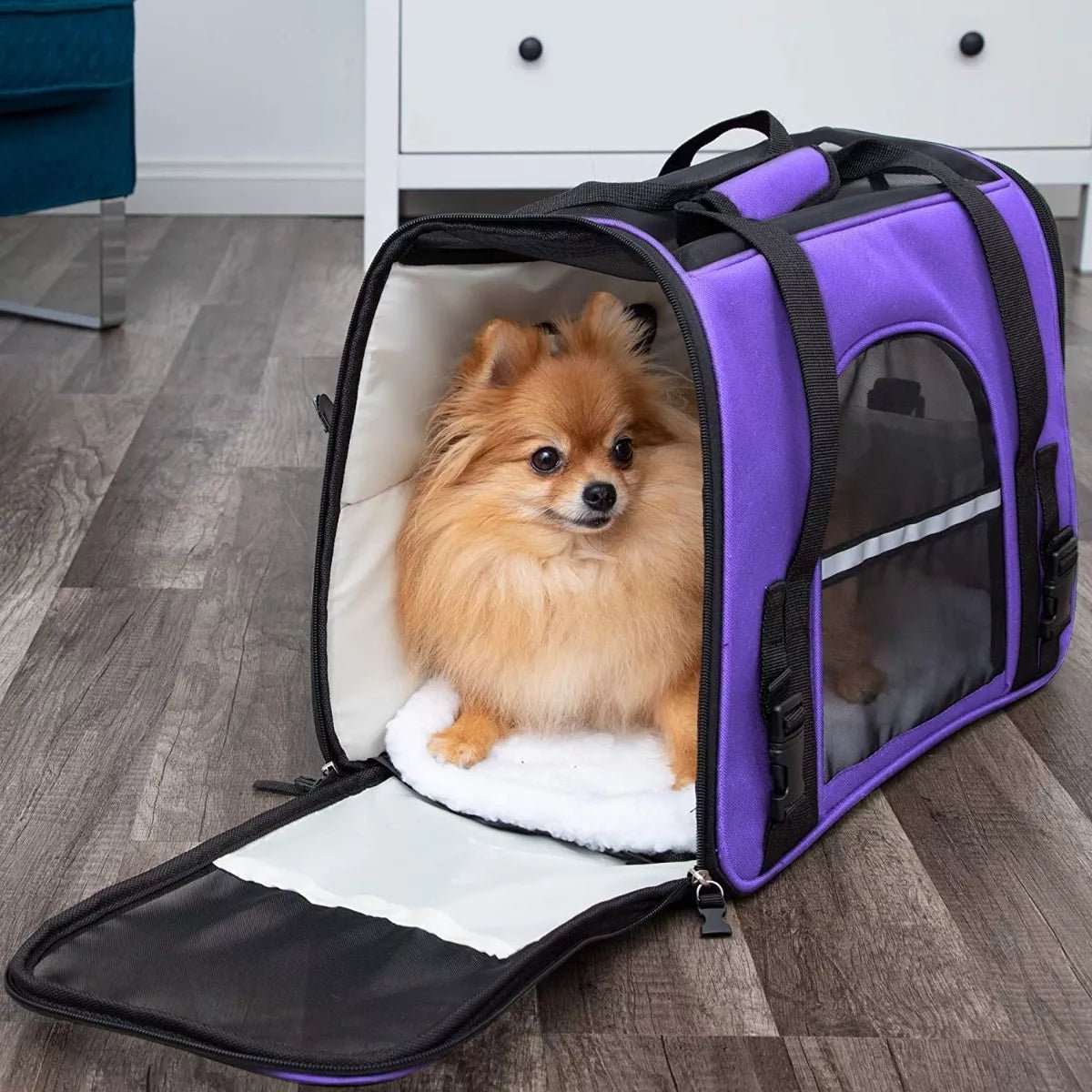 Sac de Transport pour Chien - DogCarrierBag™ - Violet - Chien Futé