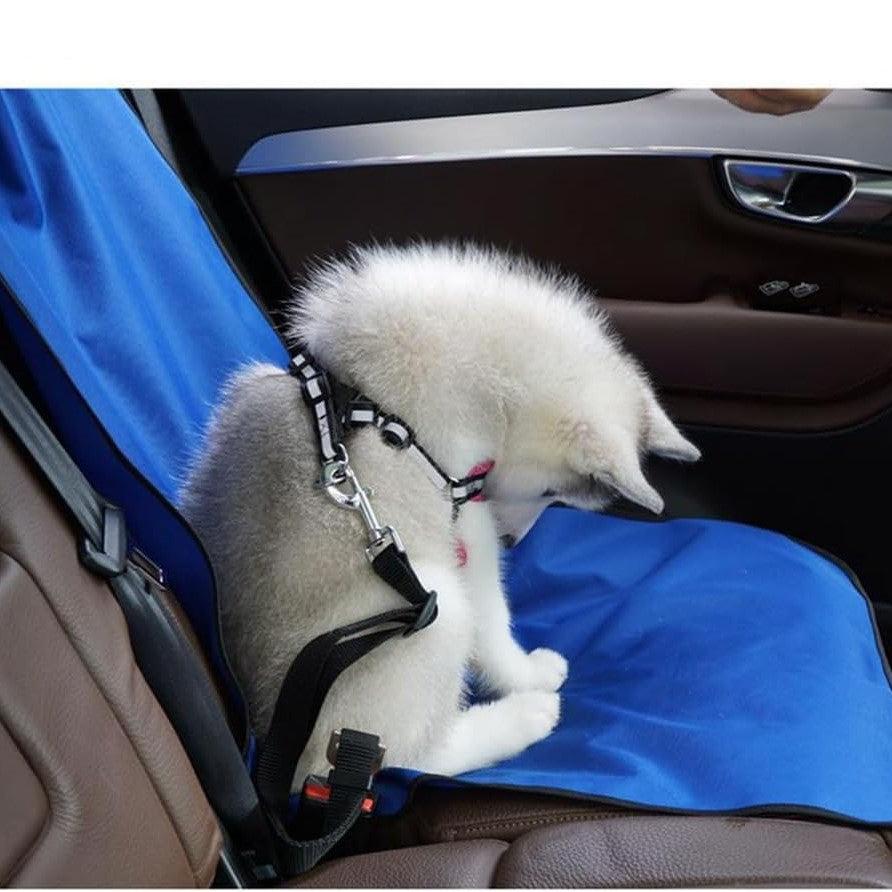 Siege Auto pour Chien - PawShieldMat™ - Bleu - Chien Futé