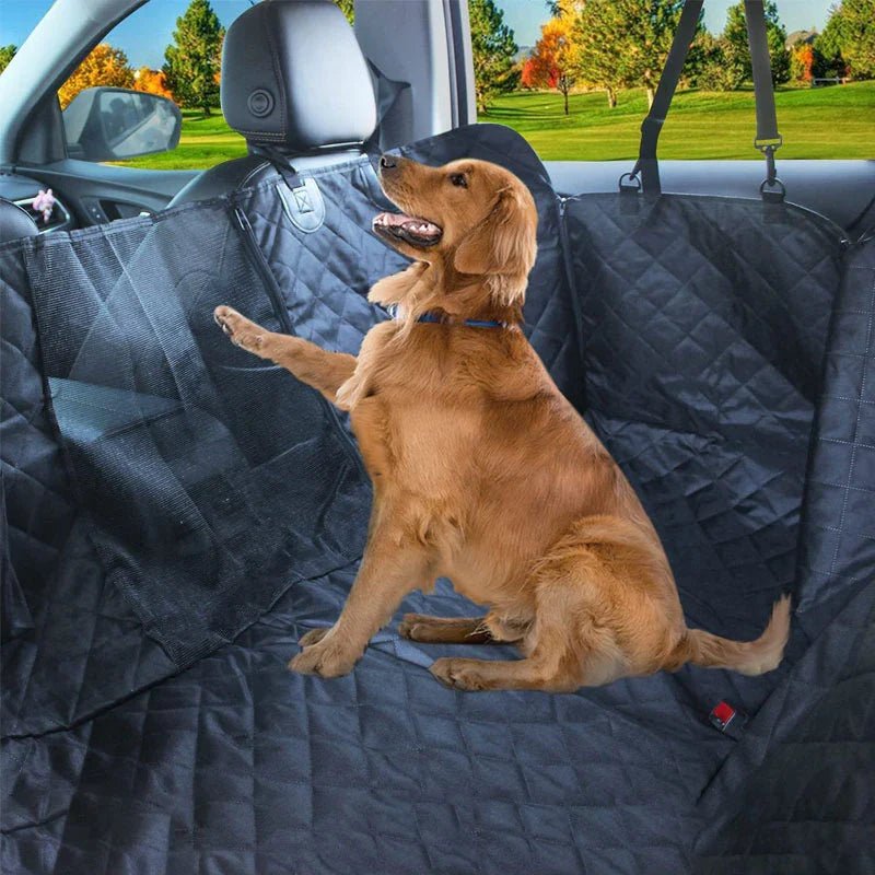 Siege Auto pour Chien - PetSeat - Noir - Chien Futé